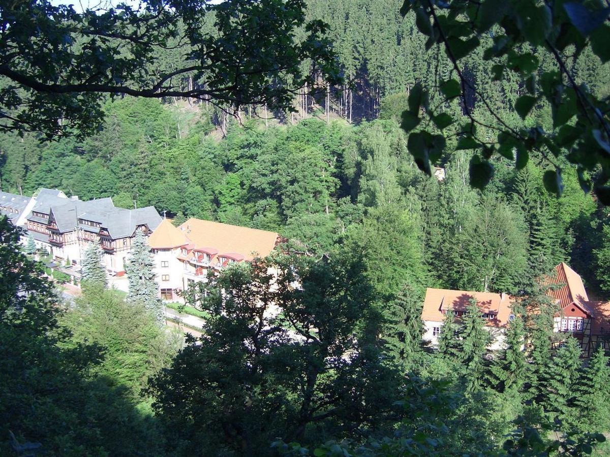 Hotel Habichtstein Alexisbad Εξωτερικό φωτογραφία