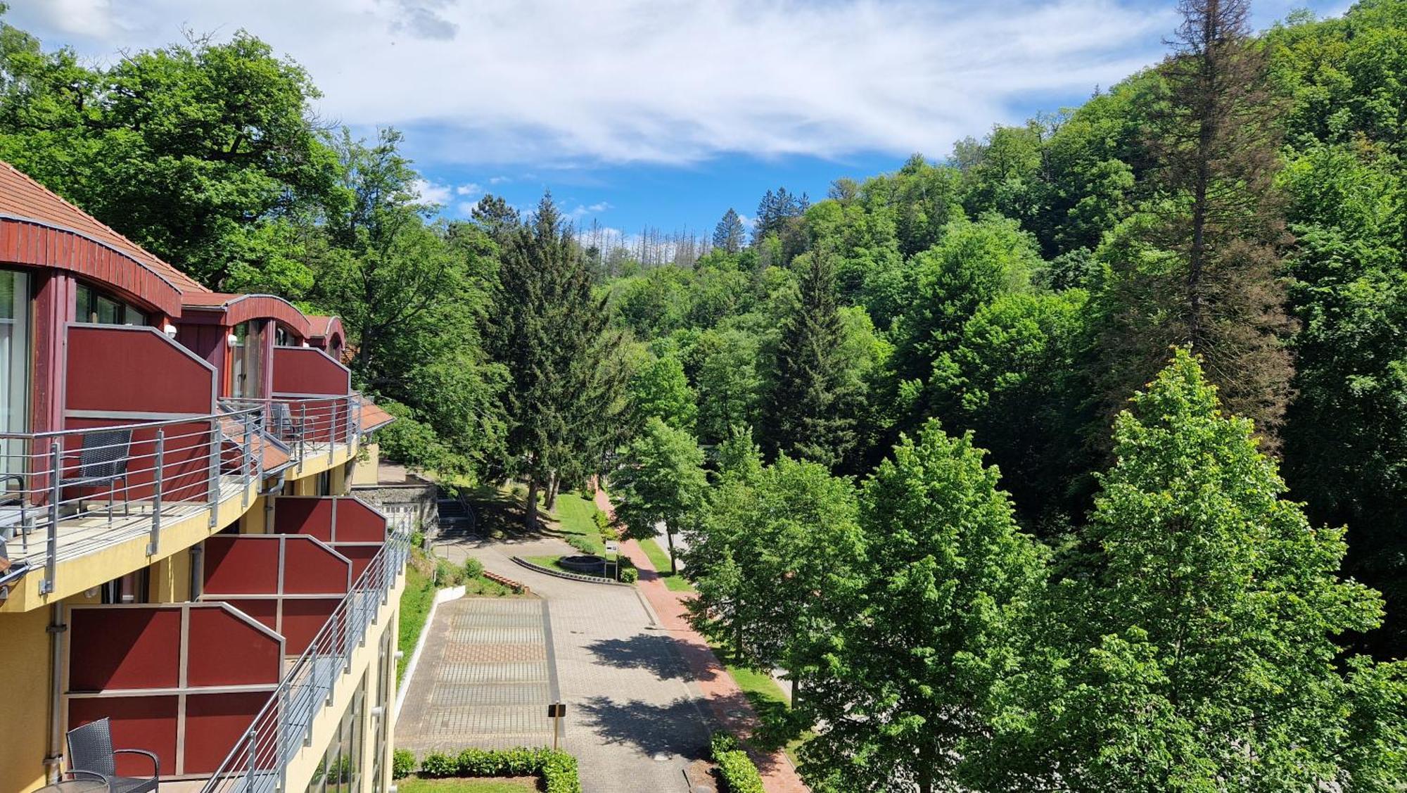 Hotel Habichtstein Alexisbad Εξωτερικό φωτογραφία