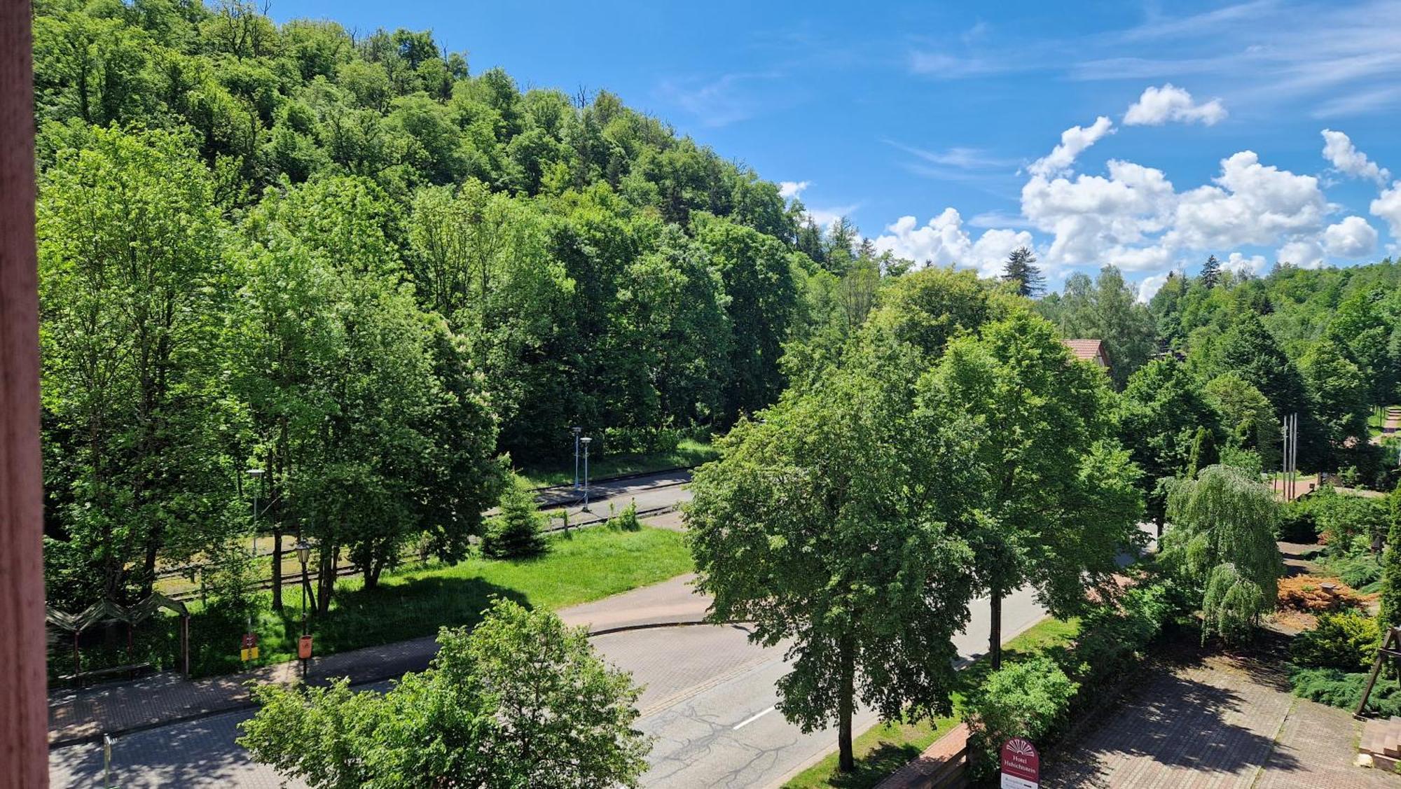 Hotel Habichtstein Alexisbad Εξωτερικό φωτογραφία
